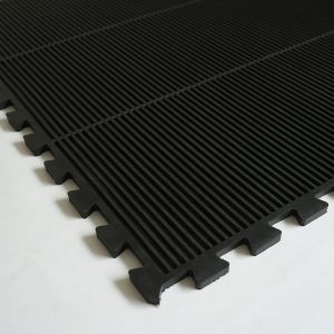 Gym Interlocking Tiles – Amoeba Mat